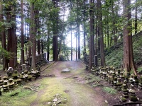 林の中の多宝塔
