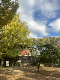 上田城の歴史と観光写真