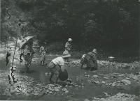 子どもの川遊び