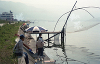 諏訪湖の四ッ手網漁