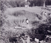 鶴部地区ＵＦＯ騒動