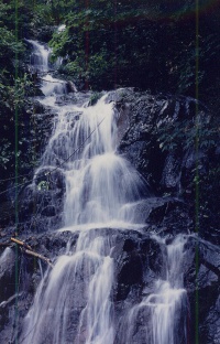 日暮沢の小滝