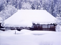 雪の中のセンターハウス