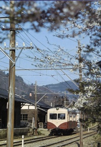 桜の海味駅に進入するモハ107