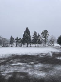 今日は雪〜☃❄️