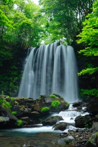 カレンダーの素材(写真)集め！！
