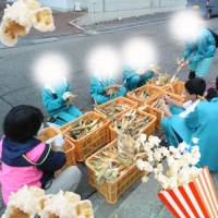 ポップコーン収穫！！