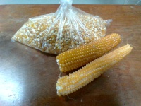 カレンダー完成！　(＋ポップコーン剥き)