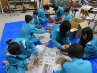 スライド確認とひまわりの種向き