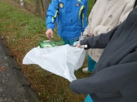 ２回目のゴミ拾い