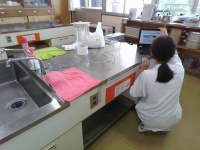 レタスクッキーのレシピ作り①！