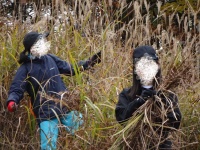 頑張った証拠がついたかも！