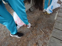 またゴミ拾いに行ったが…