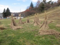 茅見に行ってきました