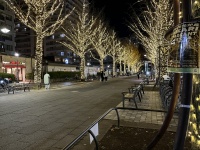 イルミネーション