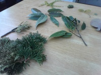 上田城プロジェクトに向けて