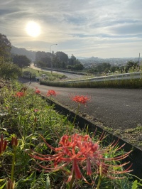 花いっぱいの会活動日