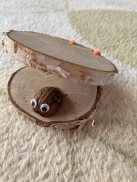 花桃イベント2024