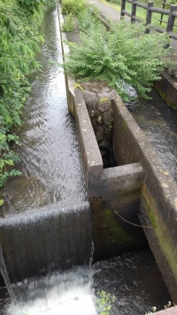 西部地区探検隊［不思議な水路 ３］