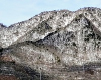 　　　2025 3月　親水公園より北を望む