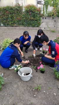 2025 6月６日  　上田西高校Dプロジェクト「ねこ型花壇No.２」花移植❣❣