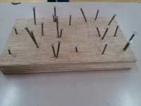 たくさんの、きのこが生えている。　