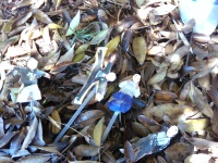 葉っぱの上で寝てる私たち