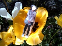 お花のうえで、、、