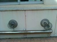 少し不満なかお