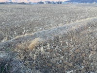 アグリwith上田　～日本一のコメを探して③～