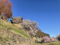上田城