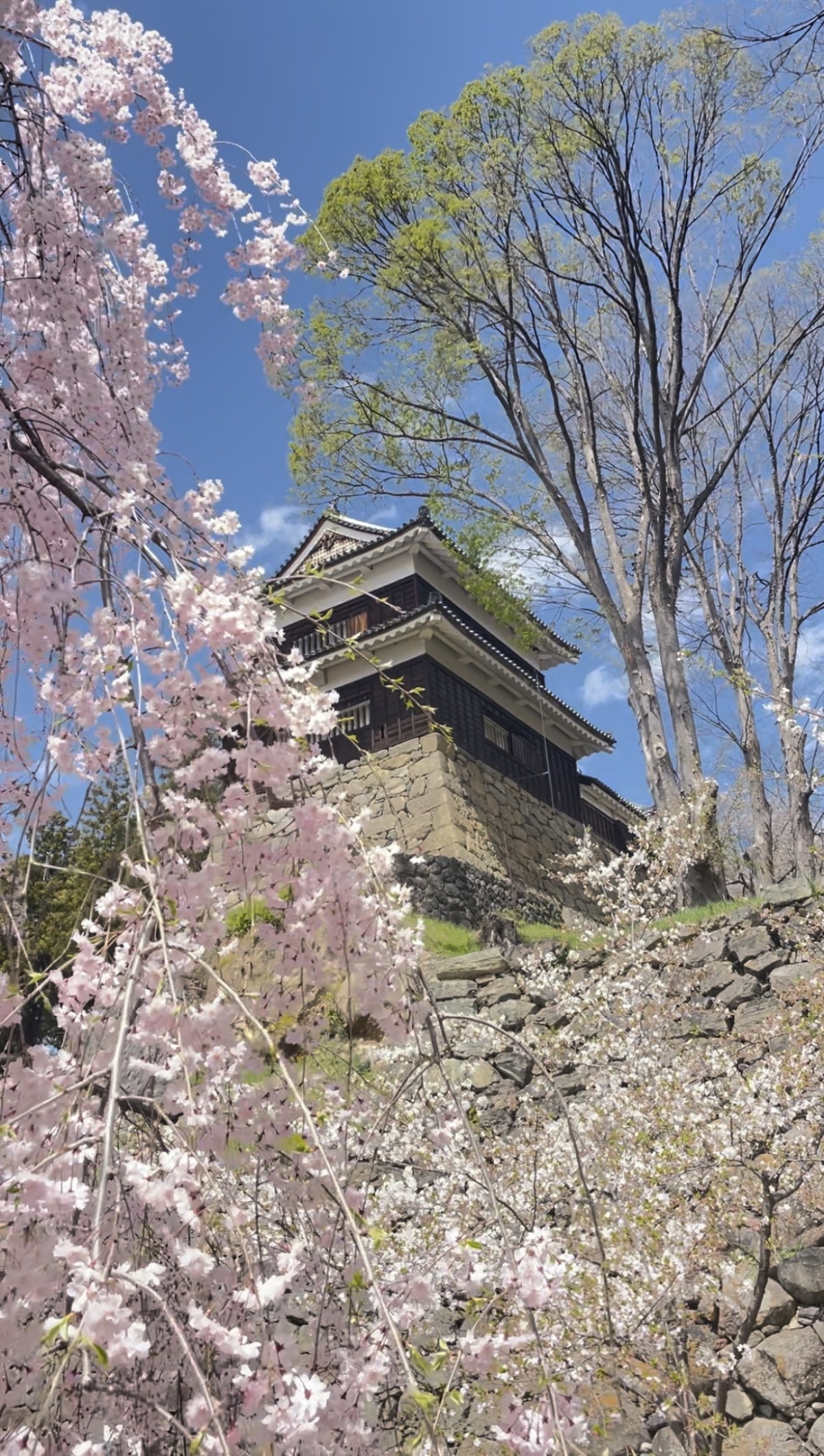 お散歩と休憩に