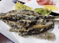 鯉西での鮎料理