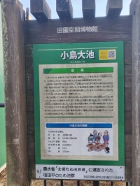 ため池めぐり　～小島大池～