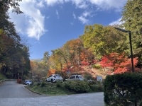 別所の紅葉 別所の紅葉