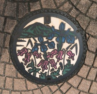 アヤメとコマクサが描かれたマンホールの蓋