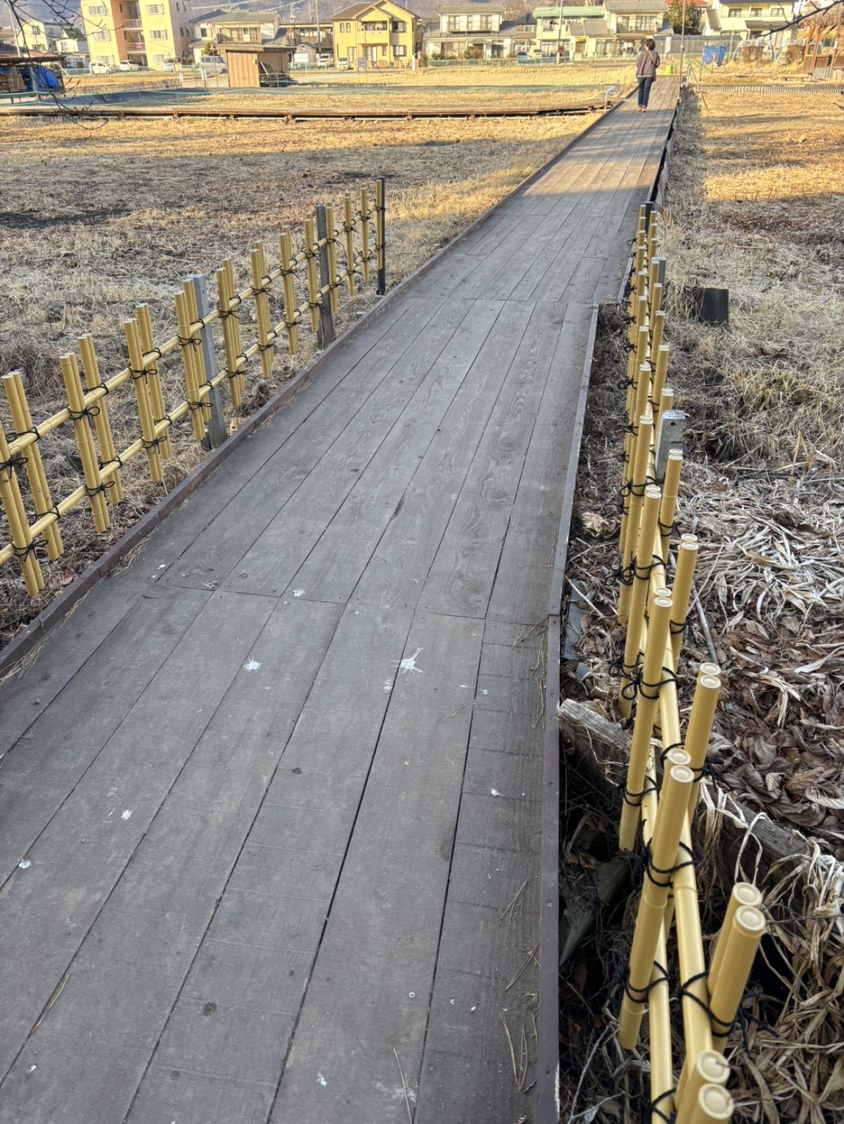 信濃国分寺の裏の細道