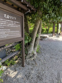 1歩き3見っけin別所温泉街