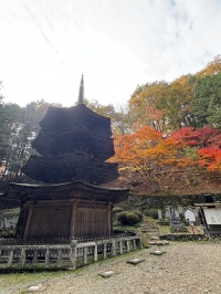 唯一の塔が語る信仰