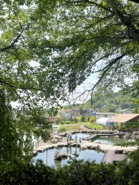 松井農園ー自然の遊び場ー