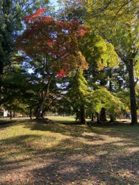 上田城跡公園　