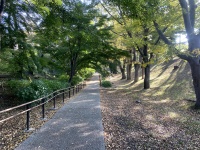 上田城東側の遊歩道
