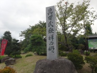 [14/09/11]真田氏記念公園