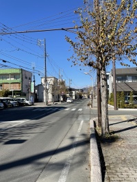 上田の道路と環境の関わり