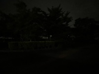 大学前駅周辺夜間