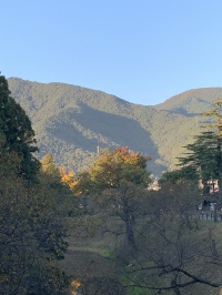 上田の山