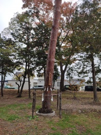 生島足島神社の御柱