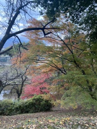 上田城の紅葉