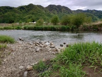 川の駅付近を流れる浦野川