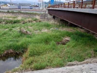 産川 上田丸子線から上流方面